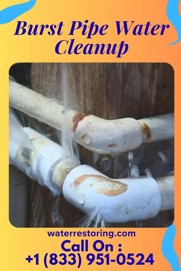 Burst Pipe Water Cleanup in South Amboy, NJ