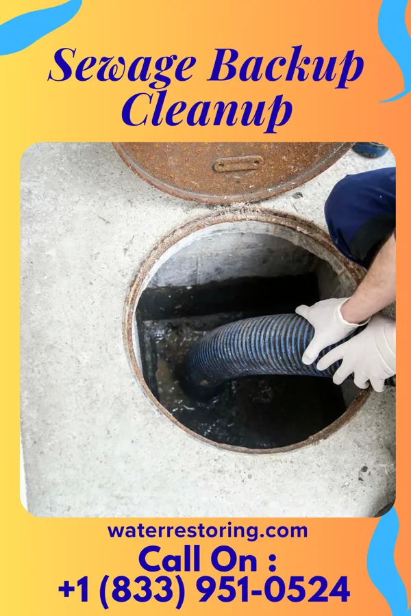 Sewage Backup Cleanup in South Amboy, NJ