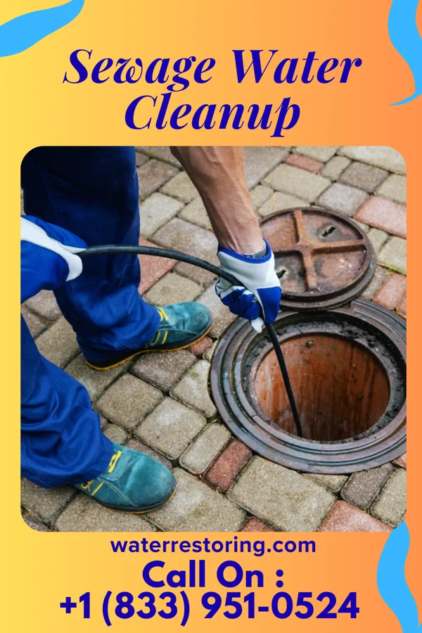 Sewage Water Cleanup in South Amboy, NJ