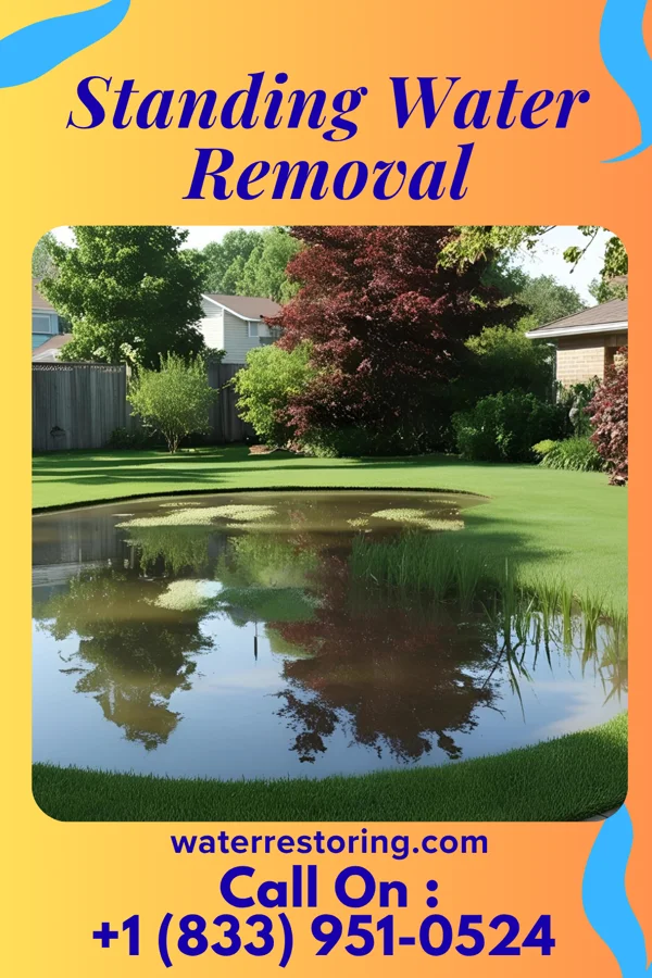 Standing Water Removal in South Amboy, NJ